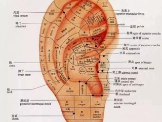 精准（精准定位）