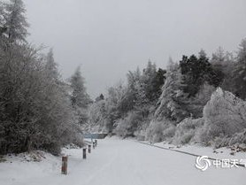 山东迎大范围雨雪天气，银装素裹齐鲁地，出行保暖需留意