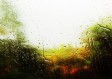 雨，在三点十七分落下
