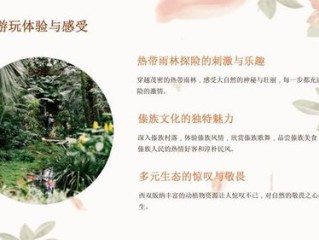 西双版纳旅游攻略，探秘热带雨林与傣族风情的终极指南