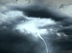 青岛天气预报15天查询结果（山东青岛天气预报30天查询）