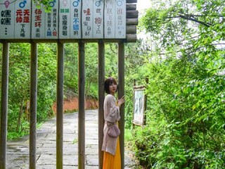 江西婺源天气预报15天（江西婺源天气未来15天）