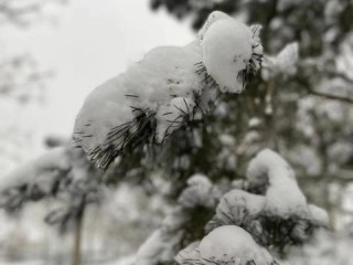 未来45天天气预报情况（未来45天天气预报情况许昌）