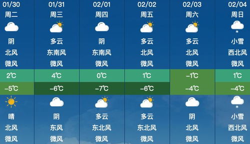 阳谷天气预报（阳谷天气预报30天）