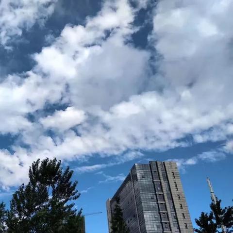 合肥天气预报40天（合肥天气预报40天准确一览表）
