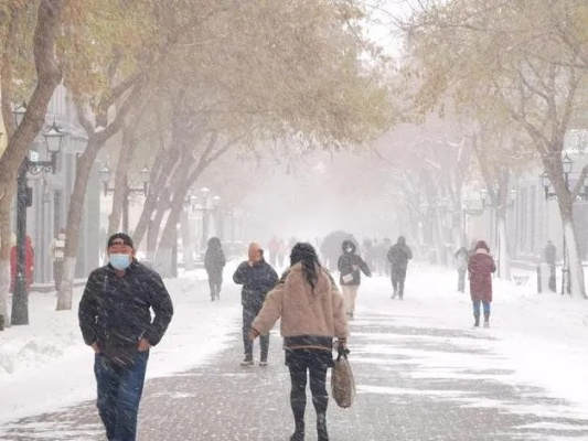 哈尔滨将迎降雪天气（哈尔滨将迎降雪天气如何）
