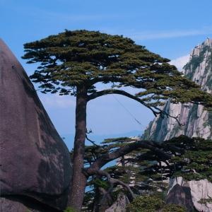 黄山最佳旅游时间几月份(去黄山旅游几月份最好) 黄山最佳旅游时间几月份(去黄山旅游几月份最好)