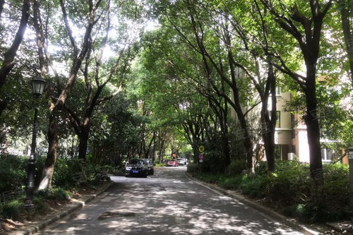 汝州天气,四季流转中的中原小城 汝州天气,四季流转中的中原小城