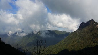 神农架天气预报,在变幻莫测的原始森林中寻找晴雨指南 神农架天气预报,在变幻莫测的原始森林中寻找晴雨指南