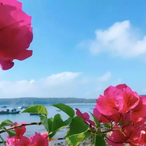 北海的天空，藏着时光的温柔