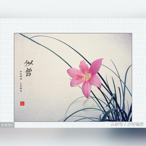 掌握天气,从容出行,天气预报下载指南 掌握天气,从容出行,天气预报下载指南