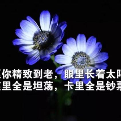 藏在指尖的阴晴冷暖,OPPO手机自带天气软件体验小记 藏在指尖的阴晴冷暖,OPPO手机自带天气软件体验小记