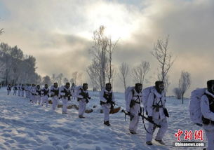 塔河天气预报，守护林海雪原的气象哨兵
