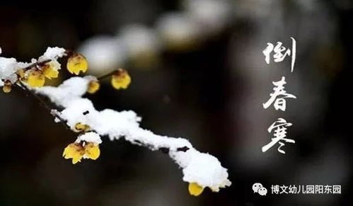 单县未来十五日天气趋势,从春寒料峭到暖意渐浓 单县未来十五日天气趋势,从春寒料峭到暖意渐浓