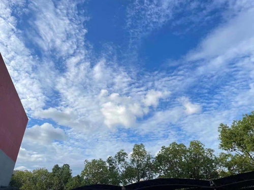 北京朝阳区天气预报,今日晴转多云,午后风力渐强 北京朝阳区天气预报,今日晴转多云,午后风力渐强