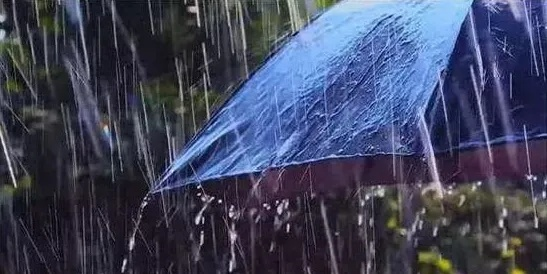 辽宁未来10天都有雨,一场长情的雨季,我们该如何应对? 辽宁未来10天都有雨,一场长情的雨季,我们该如何应对?