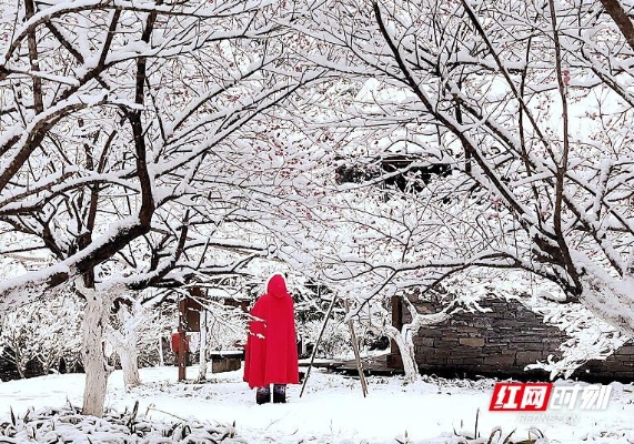 湖南多地将迎暴雪，银装素裹下的冷暖人间