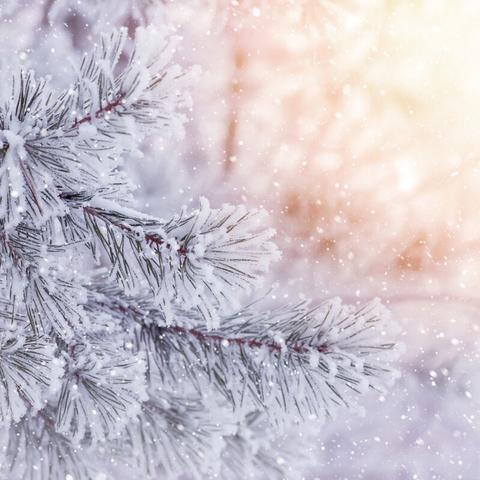 湖南将迎雨雪天气，寒潮来袭，全省需做好防范准备