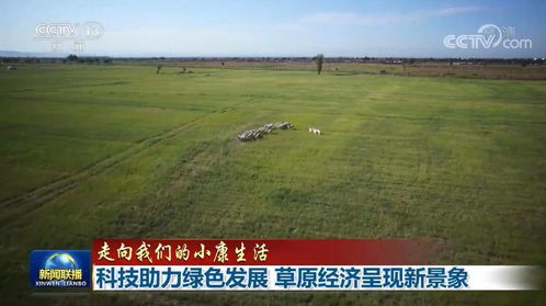 草原上的晴雨表,苏尼特右旗天气预报与游牧生活 草原上的晴雨表,苏尼特右旗天气预报与游牧生活