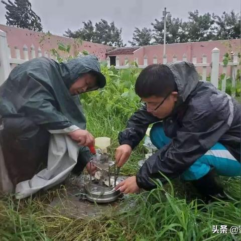 庆云天气预报，守护每一日的生活节奏
