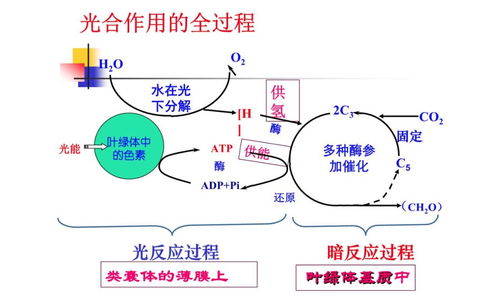 义乌24小时实时天气,一座小城的呼吸与脉搏 义乌24小时实时天气,一座小城的呼吸与脉搏