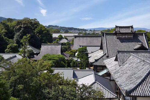 永城天气，四季分明里的生活温情