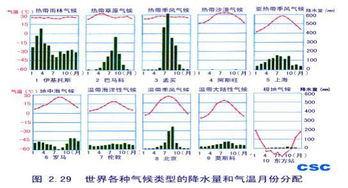 库尔勒天气预报,沙漠绿洲的晴雨表与生活指南 库尔勒天气预报,沙漠绿洲的晴雨表与生活指南