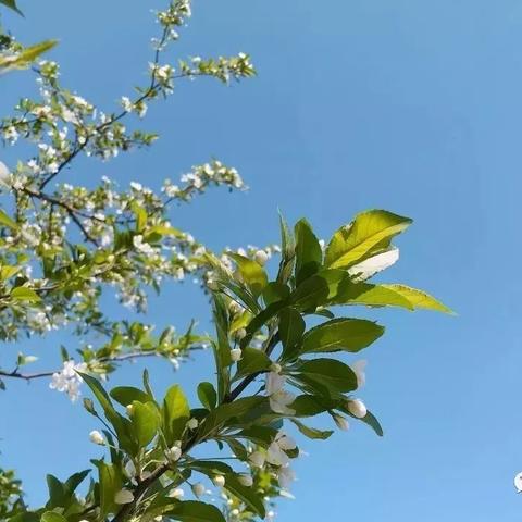 回顾前10天天气,冷暖交替中,我们经历了什么? 回顾前10天天气,冷暖交替中,我们经历了什么?